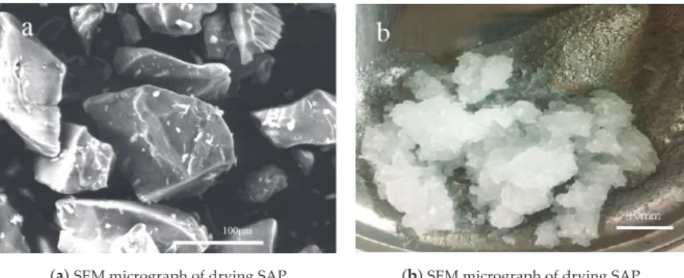 Figure 1. The superabsorbent polymer (SAP) particle characteristics: scanning electron microscopy (SEM) micrograph (a) and swelled image (b).