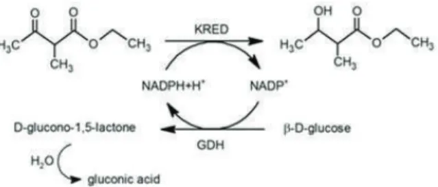 Figure 6. Reduction of ethyl 2-methylacetoacetate to ethyl 3-hydroxy-2-methylbutanoate by NADPH-dependent KRED combined with cofactor regeneration system using GDH.
