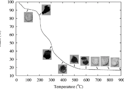Figure 4. SEM micrographs of Al 2 O 3  and Al 2 O 3 -ZrO 2  porous bodies at temperature of 1600ºC  at increasing of 5000x