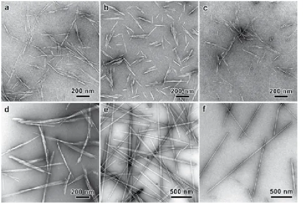 Figure 2. TEM images of negatively stained preparations of CNCs of various origins: a) wood (courtesy of G
