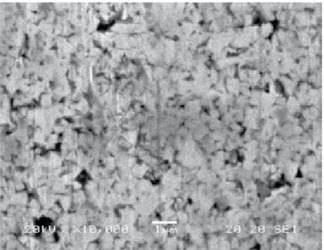 Figure 1. Surface texture of micropunch