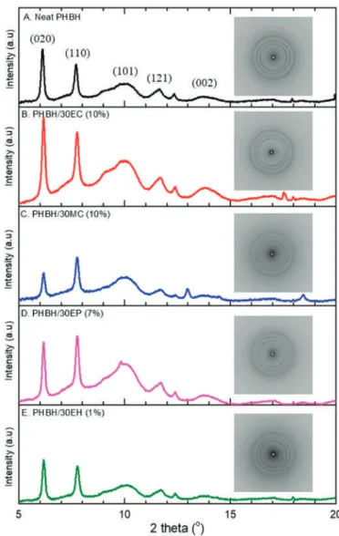 Figure 3. Wide-angle X-ray diﬀraction (WAXD) intensity proﬁles and 2D patterns of (A) neat PHBH and PHBH composite nanoﬁbers with natural products: (B) EC, (C) MC, (D) EP, (E) EH.