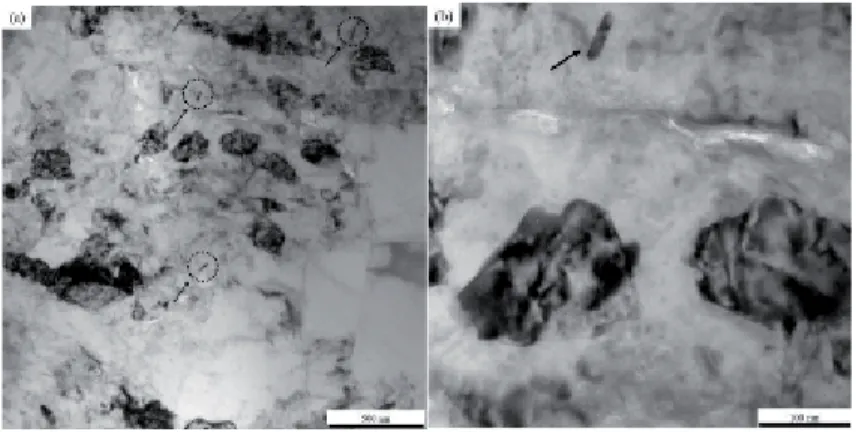 Figure 12 shows the bright-field TEM image of Al 4 C 3  phase with the corre- corre-sponding result of the EDS line scan the matrix and in-situ phase in the Al-2 wt