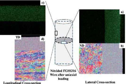 Figure 14 depicts the plastic strain distribution and phase mapping on the  lateral and longitudinal cross-sections of nitrided FGSS316 wire, respectively, after  uniaxial loading