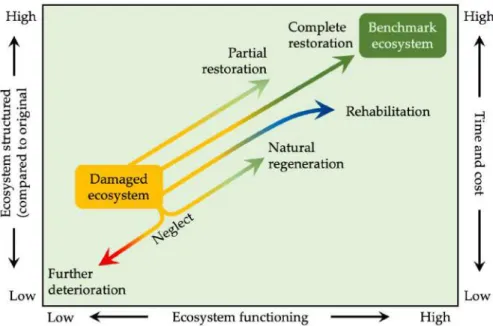 Figure 10.10 Several approaches can be followed when restoring an ecosystem, ranging from taking no  action and letting the ecosystem regenerate naturally to completely restoring a degraded site