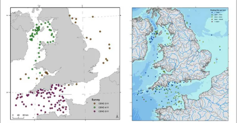 FIGURE 5 | Spatial overview of manta trawl stations (left) and microplastic concentrations (right).