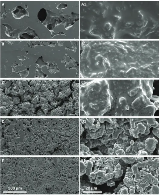 Figure 5. Scanning Electron Microscopy (SEM) micrographs at diﬀerent magniﬁcation of the nanocomposite composed by PK30-Gly-Gly and lrGO at diﬀerent weight percentage