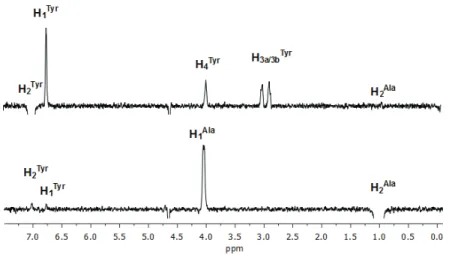 Figure 4. One-dimensional (1D) Rotating-frame Overhauser Eﬀect SpectroscopY (ROESY) spectra (600 MHz, D 2 O, 25 ◦ C) of H 2 Tyr and H 2 Ala of DAL (9.8 mM).