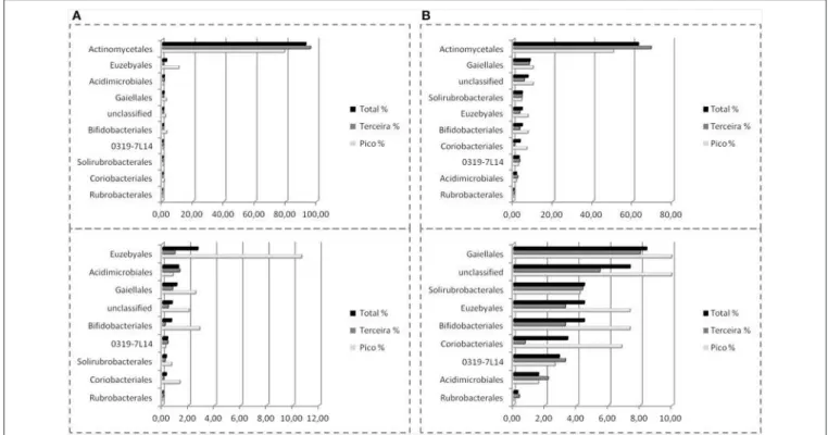 FIGURE 8 | Order-Level delineation of the 16S rRNA gene sequences (A) and OTUs (B) in Azorean volcanic caves obtained by amplicon library.