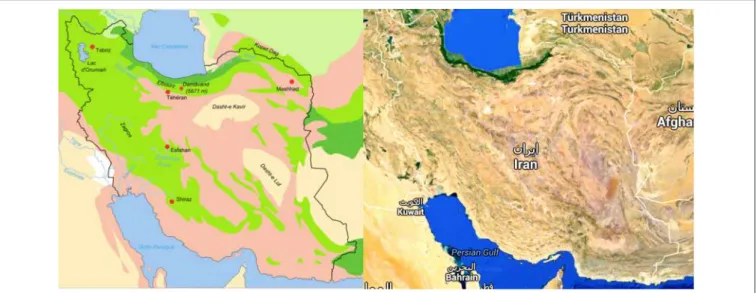 FIGURE 1 | Desert area of Iran indicated in light pink and cream in this biotope (Fabienkhan., 2006)