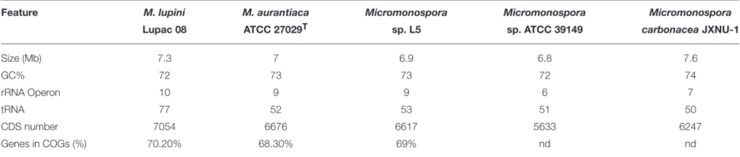 TABLE 3 | Genomic features of sequenced Micromonospora strains available in the databases.