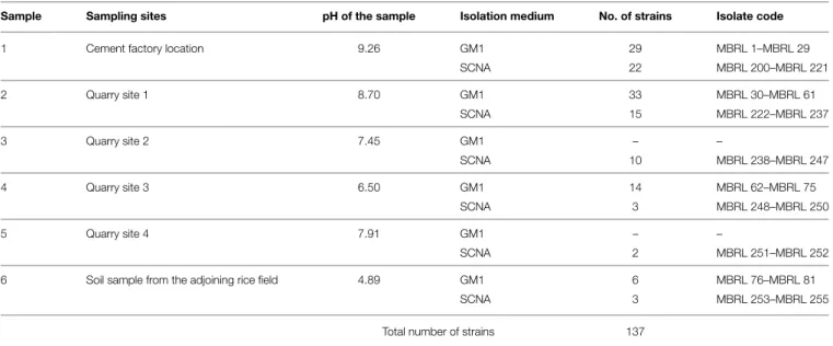 TABLE 2 | Profile of the Hundung limestone samples and coding scheme for the actinobacterial strains.