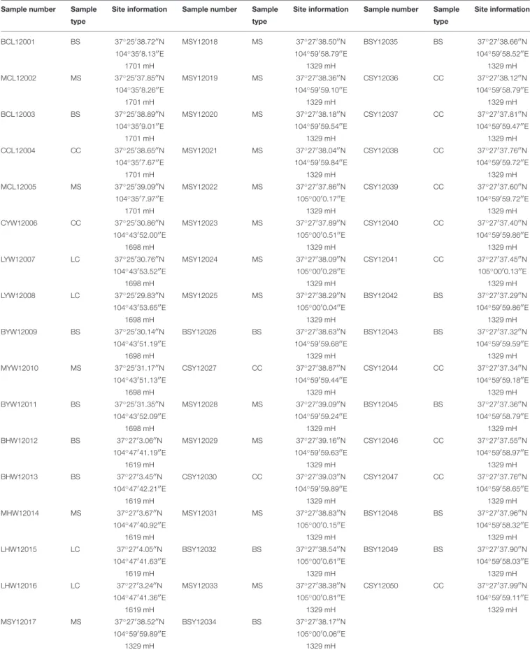 TABLE 1 | Samples collected in the Shapotou region.