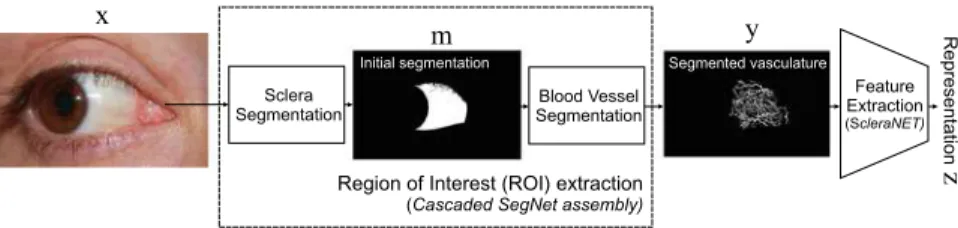 Fig. 13.1 Block diagram of the proposed sclera recognition approach. The vascular structure of the sclera is first segmented from the input image x using a two-step procedure