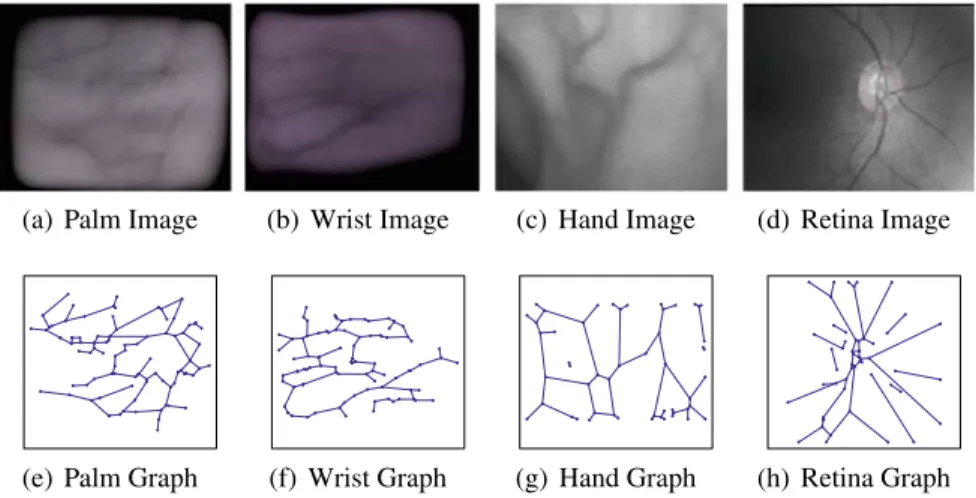 Figure 12.1 shows typical vascular pattern images from the databases of each of the four modalities we have investigated and their corresponding Biometric Graphs, extracted as above.