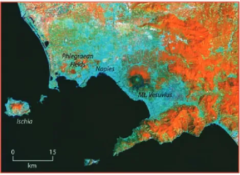 Figure 1.9 Satellite map of the Neopolitan area. Modified from Laboratorio di Geomatica, INGV-OV