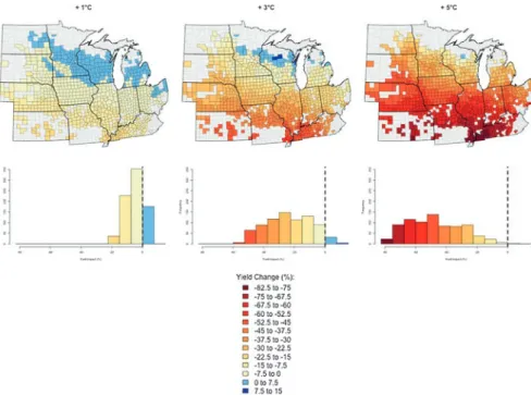 Figure 4 illustrates the maize yields impacts for all counties in the sample (top  row) as well as the distribution of impacts (bottom row) for each warming scenario