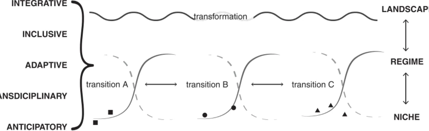 Figure 4.1 Integrating transformations and transitions through transformative governance Transformative governance enables transformative change through governance mixes that include instruments focused on niches, transitions (and their interactions) and t