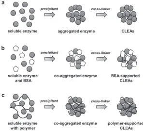 Figure 1. Preparation of CLEAs. (a) General cross-linking method [4]; (b) bovine serum albumin (BSA)-supported CLEA cross-linking method