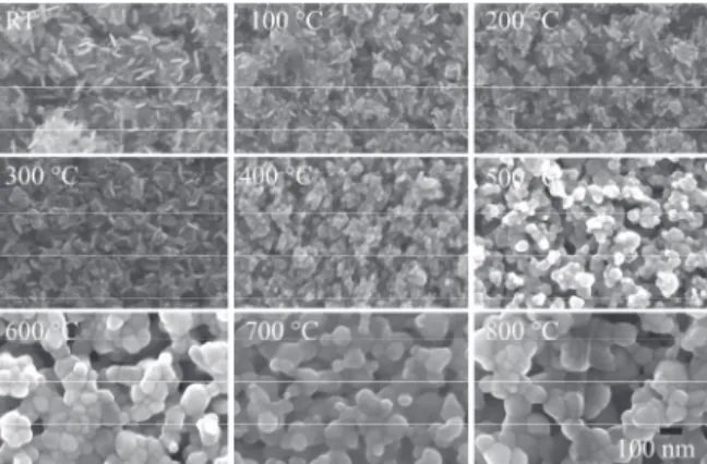 Figure 1. Scanning electron microscopy (SEM) images of RT and 100 ◦ C to 800 ◦ C annealed ZnO/ALO ﬁlms