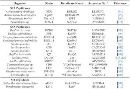 Table 3. Keratinolytic microorganisms and their keratinases from the S1, S8 and M4 keratinases selected for this study.