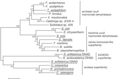 Figure 2. Phylogenetic relationship of different putative and confirmed dehydratases belonging to different enzyme families