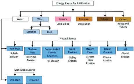 Figure 1. Types of soil erosion driven by source of energy.