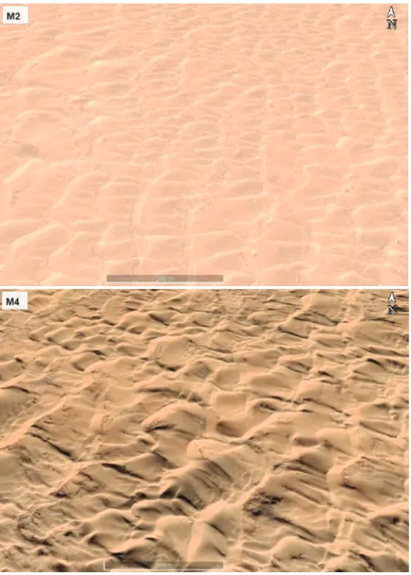 Figure 3. Cont.