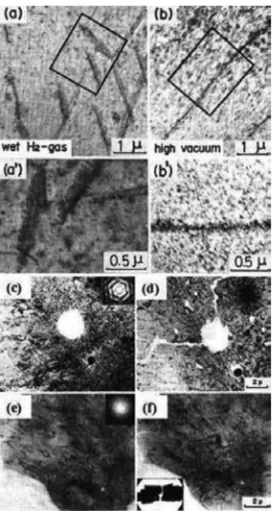 Figure 1. Reaction between wet H 2  gas and an iron foil. Micrographs (a) and (b) were taken after a heavy electron irra‐