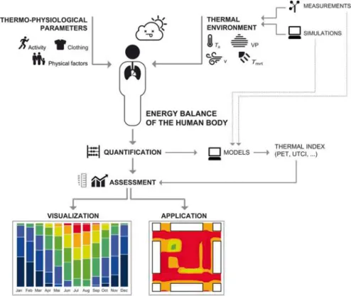 Fig. 4.1  Flowchart of the human-biometeorological assessment of the thermal environment A
