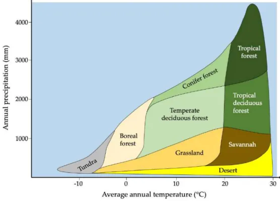 Figure 3.6  An area’s abiotic components strong influence its biotic environment. For example, average  temperature and precipitation determine which biome will dominate, which in turn influences which  spe-cies will be present