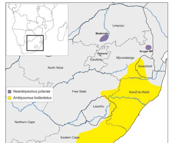 Figure 3.B  The known geographic distribution of the widespread Hottentot golden mole and  range-restricted Juliana’s golden mole