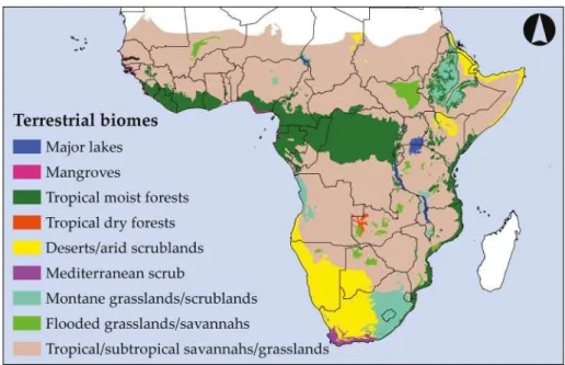 Figure 2.1  Simplified map of Sub-Saharan Africa’s eight terrestrial biomes. The region’s topographic com- com-plexity, the diversity of biomes, and the multiple ecological transition zones between the different biomes  have given rise to a rich biodiversi