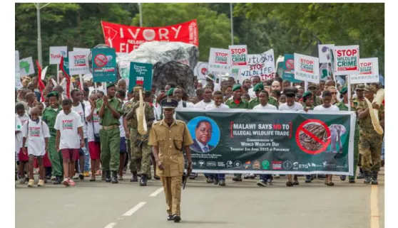 Figure 2.D  Campaigners taking to the streets in support of Malawi’s “Stop Wildlife Crime” cam- cam-paign, which the President of Malawi also supports