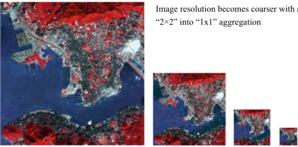 Fig. 8.18 Four images with the same cartographic ratio but different resolutions