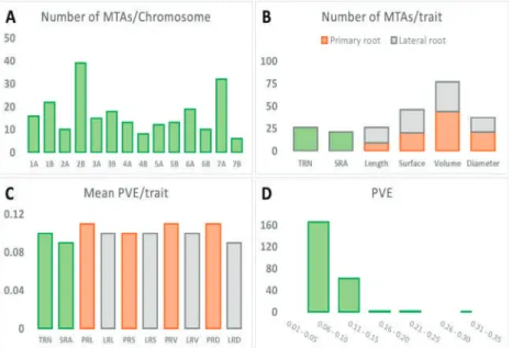Figure 3. Summary of marker trait associations (MTA). (A) Number of MTAs per chromosome.
