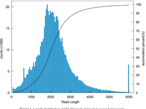 Figure 1. Length distribution of 651,260 reads of insert in avocadomesocarp.