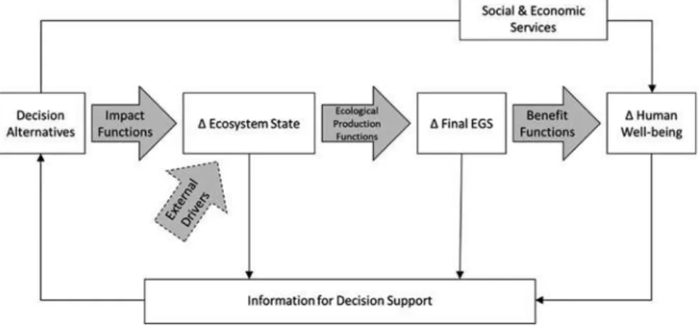 Fig. 1 Conceptual model for how changes to the state of an ecosystem (e.g., its biophysical attributes) and consequent changes in the production of ﬁ nal ecosystem goods and services (FEGS) in ﬂ uence environmental decision-making via impacts to human well