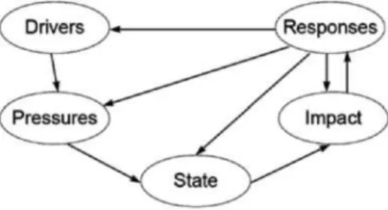 Fig. 1 Original depiction of the DPSIR framework.