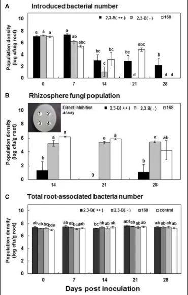 FIGURE 1 | The effect of 2,3-butanediol produced by Bacillus subtilis on bacterial rhizosphere competence