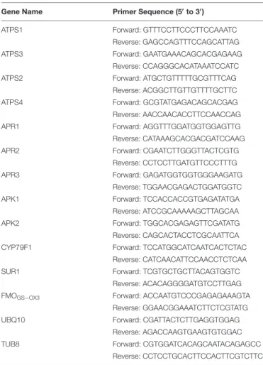 TABLE 1 | Sequence of primers employed in the semi-quantitative RT-PCR analysis.