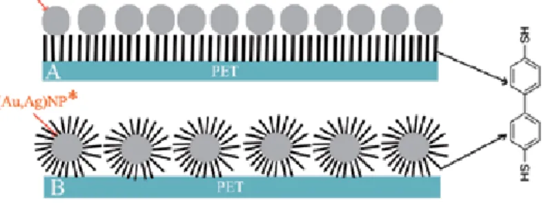 Figure 9. Inhibition effect of PtNPs and PdNPs toward bacterial strains of E. coli and S