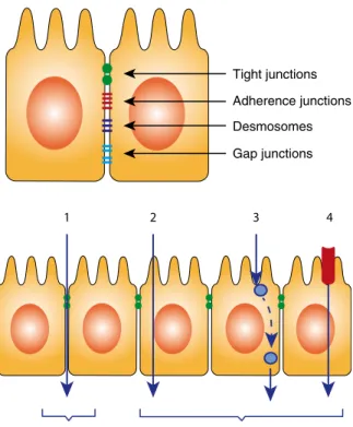 Fig. 9.2  The figure 