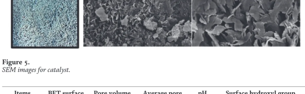 Figure 5. The catalyst was spherule of 2 – 4 mm. It possessed mesoporous surface with packed lamellar layer