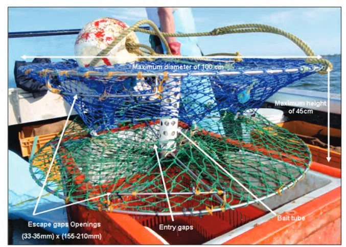 Figure 3.4. Commercial crab trap used in the WCEMF Area 2 showing escape gap 