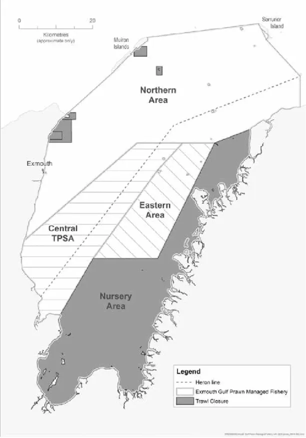 Figure 3.1. Main fishery boundaries and management areas of the EGPMF  