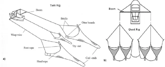 Figure  3.2.  Standard  historical  twin-rig otter trawl (a) and current  quad-rig otter trawl (b)  configurations used in the EGPMF (Adapted from Stirling 1998) 