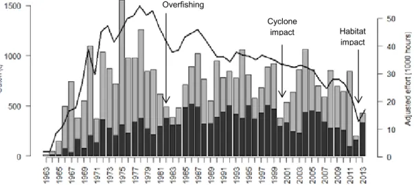 Figure 3.3). Landings of both target species in Exmouth Gulf then remained relatively stable  until 2000, when a substantial decline in stock levels (particularly of brown tiger prawns)  associated with impacts of the Category 5 Cyclone Vance  was observed
