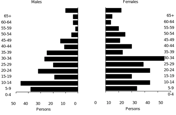 Figure 2.1. Age/sex pyramid of the Kakadu regional population, 1995 Males