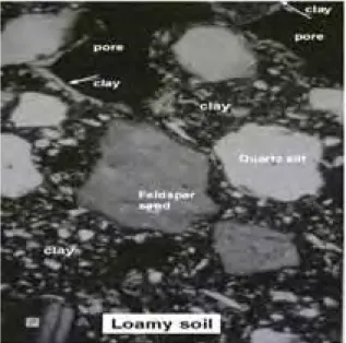 Figure 4.  Polarised light microscopic image for a thin section of a loamy soil.  Sand and silt particles  shown are irregular in size and shape, the silt being smaller